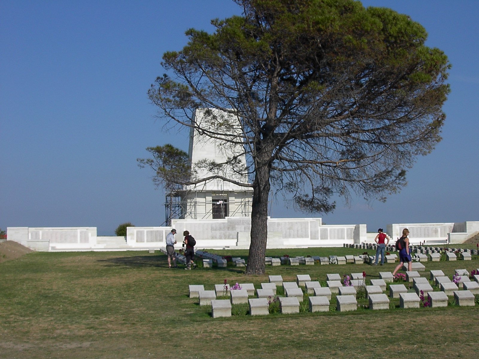 George Bell Laing - Online Cenotaph - Auckland War Memorial Museum