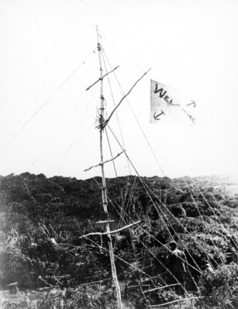 Auckland Island flagstaff built by Dundonald survivors at the depot, Port Ross. image item