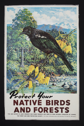 Protect your native birds and forests image item
