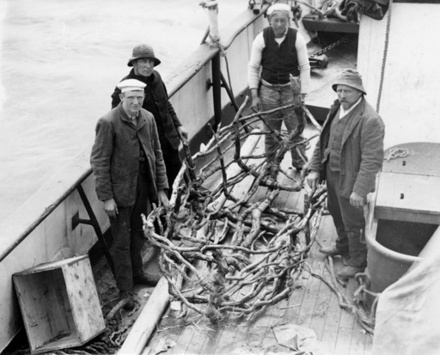 Framework of boat originally covered with sea-lion skins, in which Dundonald survivors crossed from Disappointment to Auckland Is. 1907. image item