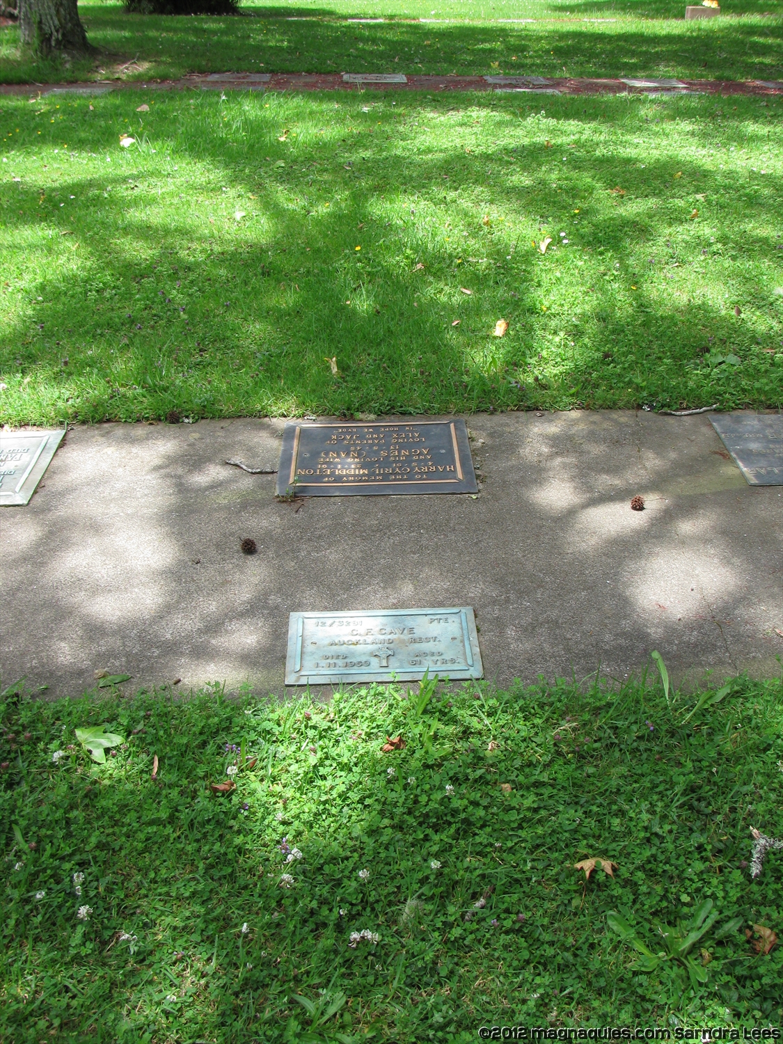 Cecil Frederick Cave Online Cenotaph Auckland War Memorial Museum