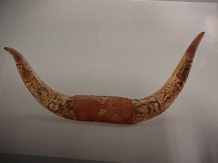 horns, scrimshaw [col.1392]