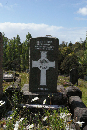 George Thorp - Online Cenotaph - Auckland War Memorial Museum