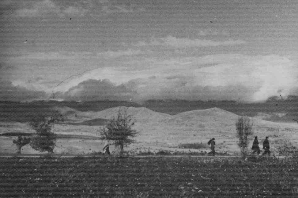 Cyril Frederick Raymond Quinlan Online Cenotaph Auckland War