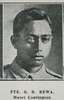 George Rangitikei Rewa - Online Cenotaph - Auckland War Memorial Museum