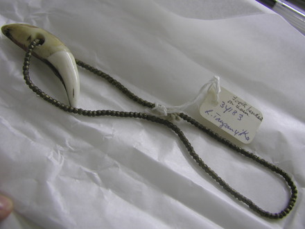 tooth pendant