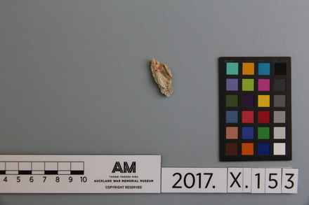 fragment, 2017.x.153