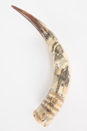 horn, scrimshaw, 1947.136, col.1313.1, 29703.1, Photographed by Denise Baynham, digital, 06 Dec 2018, © Auckland Museum CC BY