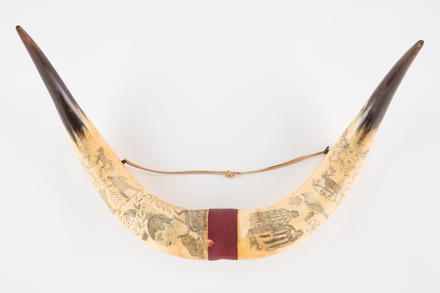 horn, scrimshaw, 1949.169, col.1349, 31027.2, Photographed by Denise Baynham, digital, 07 Dec 2018, © Auckland Museum CC BY