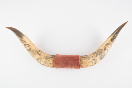 bullock horns, 2002.72.1, 7827, Photographed by Denise Baynham, digital, 07 Dec 2018, © Auckland Museum CC BY