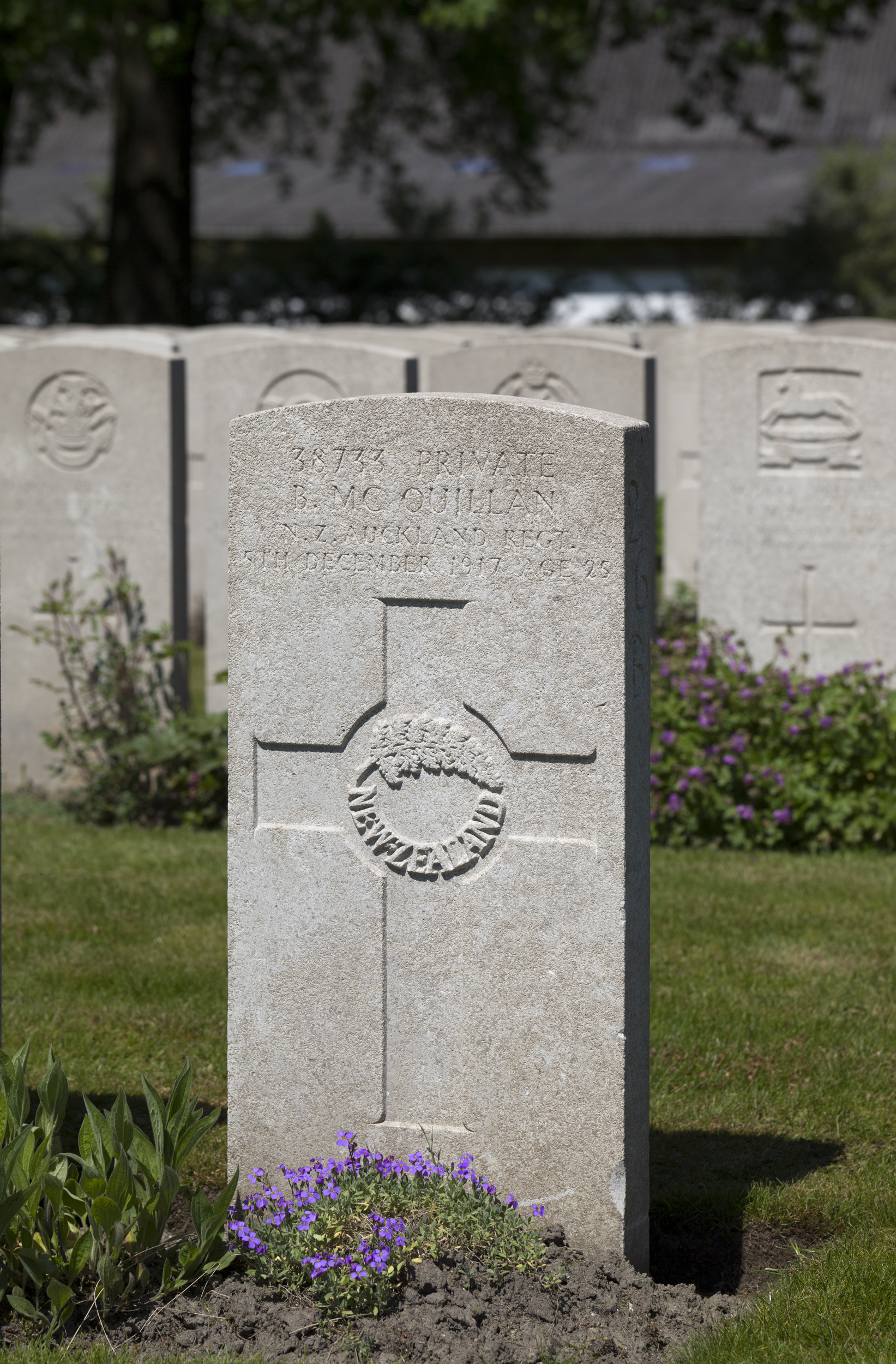 Bernard Mcquillan - Online Cenotaph - Auckland War Memorial Museum