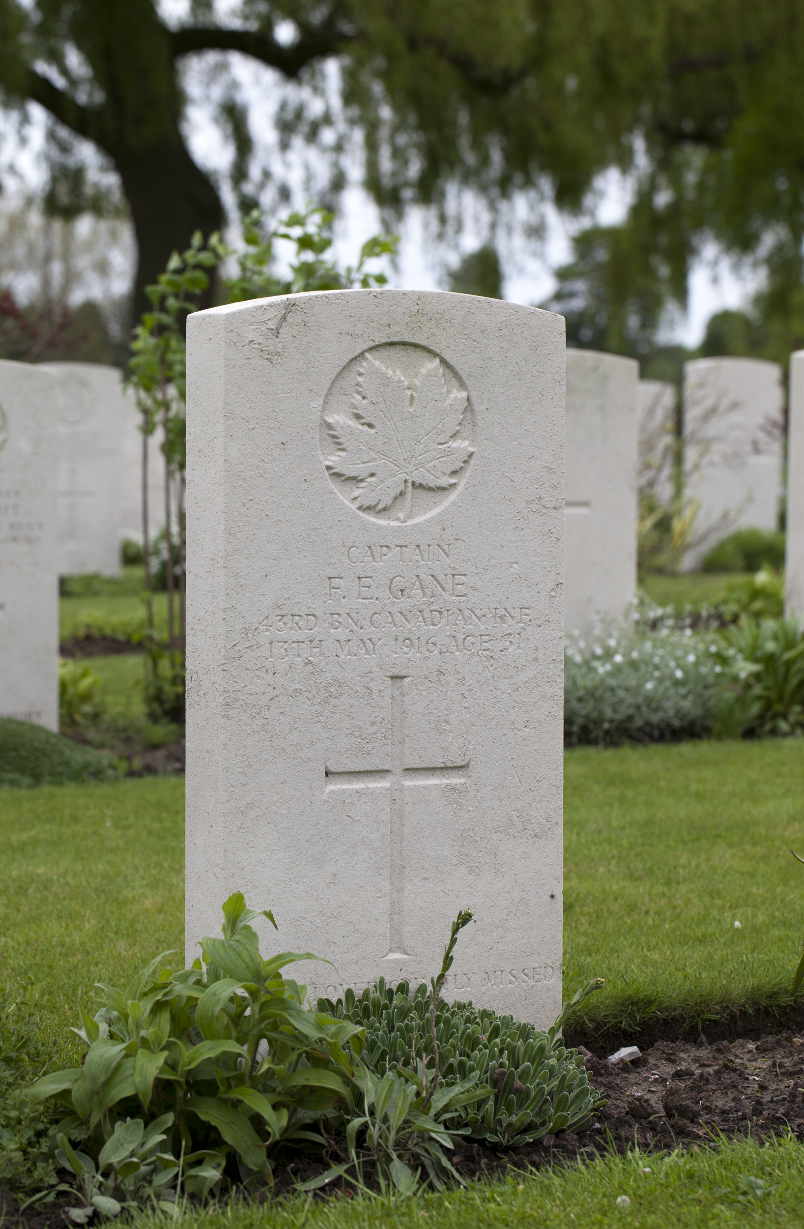 Francis Egmont Gane - Online Cenotaph - Auckland War Memorial Museum