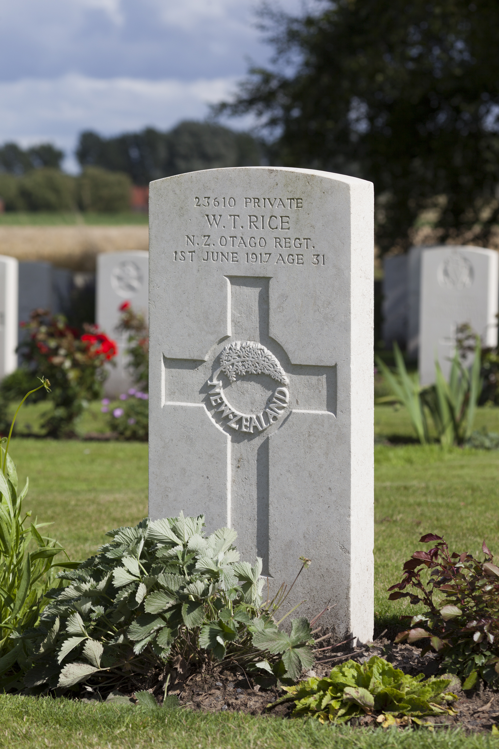 William Thomas Rice - Online Cenotaph - Auckland War Memorial Museum