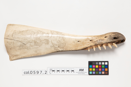 bone, whale jaw, 1938.16, col.0597.2, 23655.2, Mar.310, © Auckland Museum CC BY